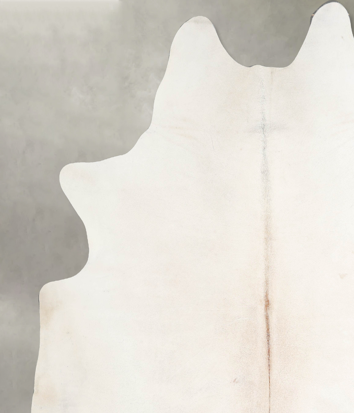 Ivory with Beige XX-Large Brazilian Cowhide Rug 8'3"H x 7'2"W #A54119 by Hudson Hides