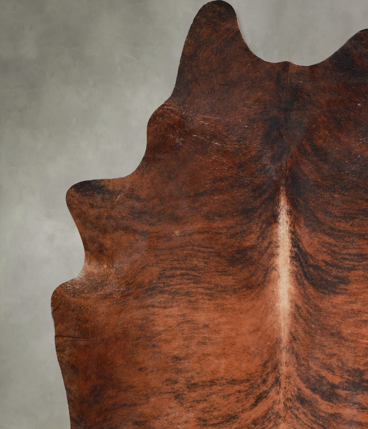 Medium Brindle XX-Large Brazilian Cowhide Rug 8'0"H x 7'0"W #A54121 by Hudson Hides