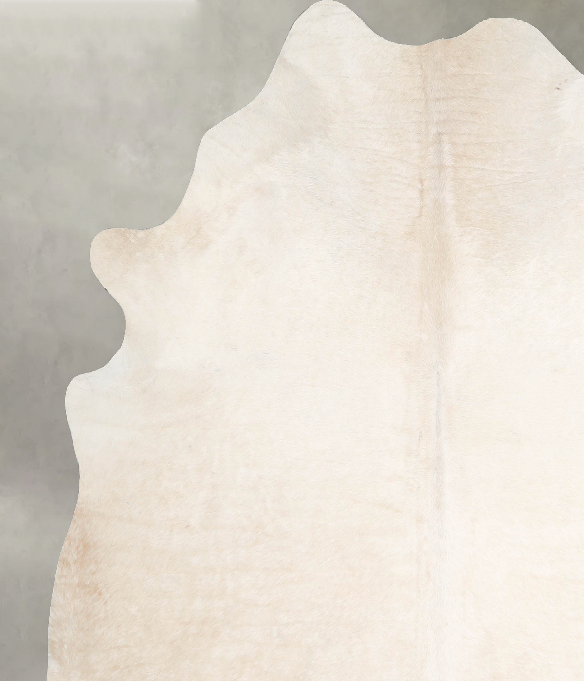 Ivory with Beige X-Large Brazilian Cowhide Rug 7'5"H x 6'7"W #A54122 by Hudson Hides