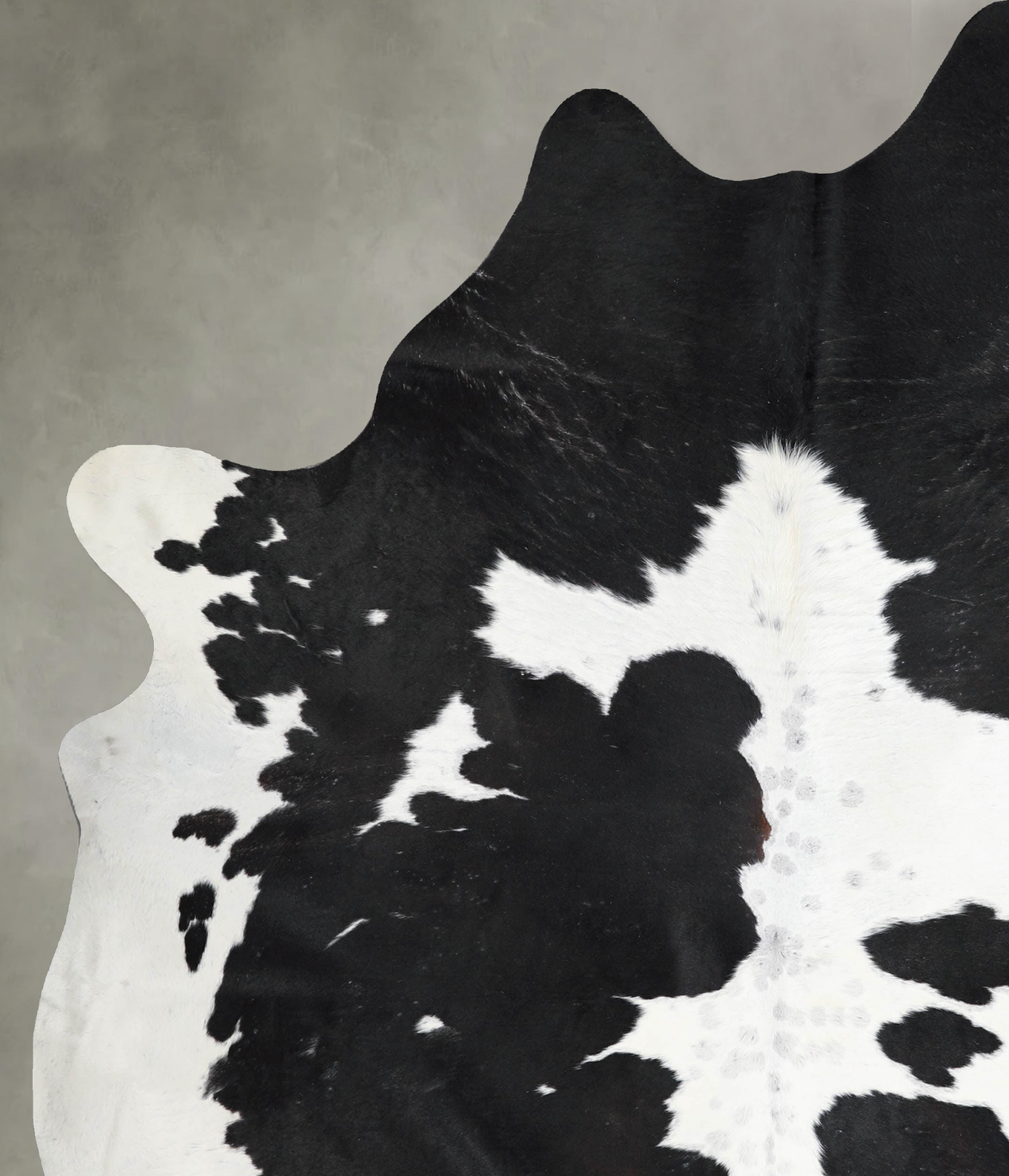 Black and White XX-Large Brazilian Cowhide Rug 7'11"H x 6'7"W #A54123 by Hudson Hides