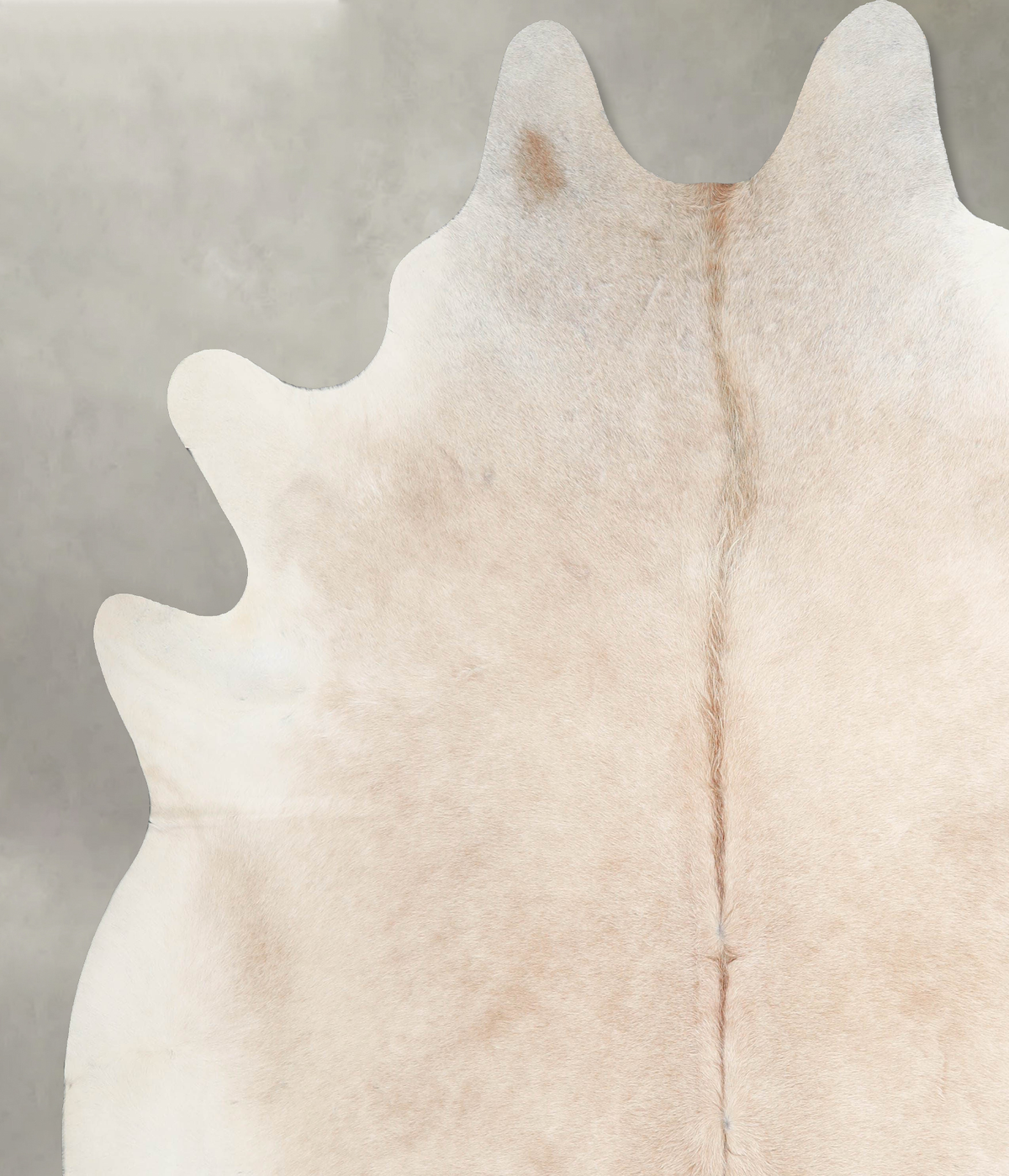 Beige XX-Large Brazilian Cowhide Rug 8'4"H x 7'11"W #A54135 by Hudson Hides