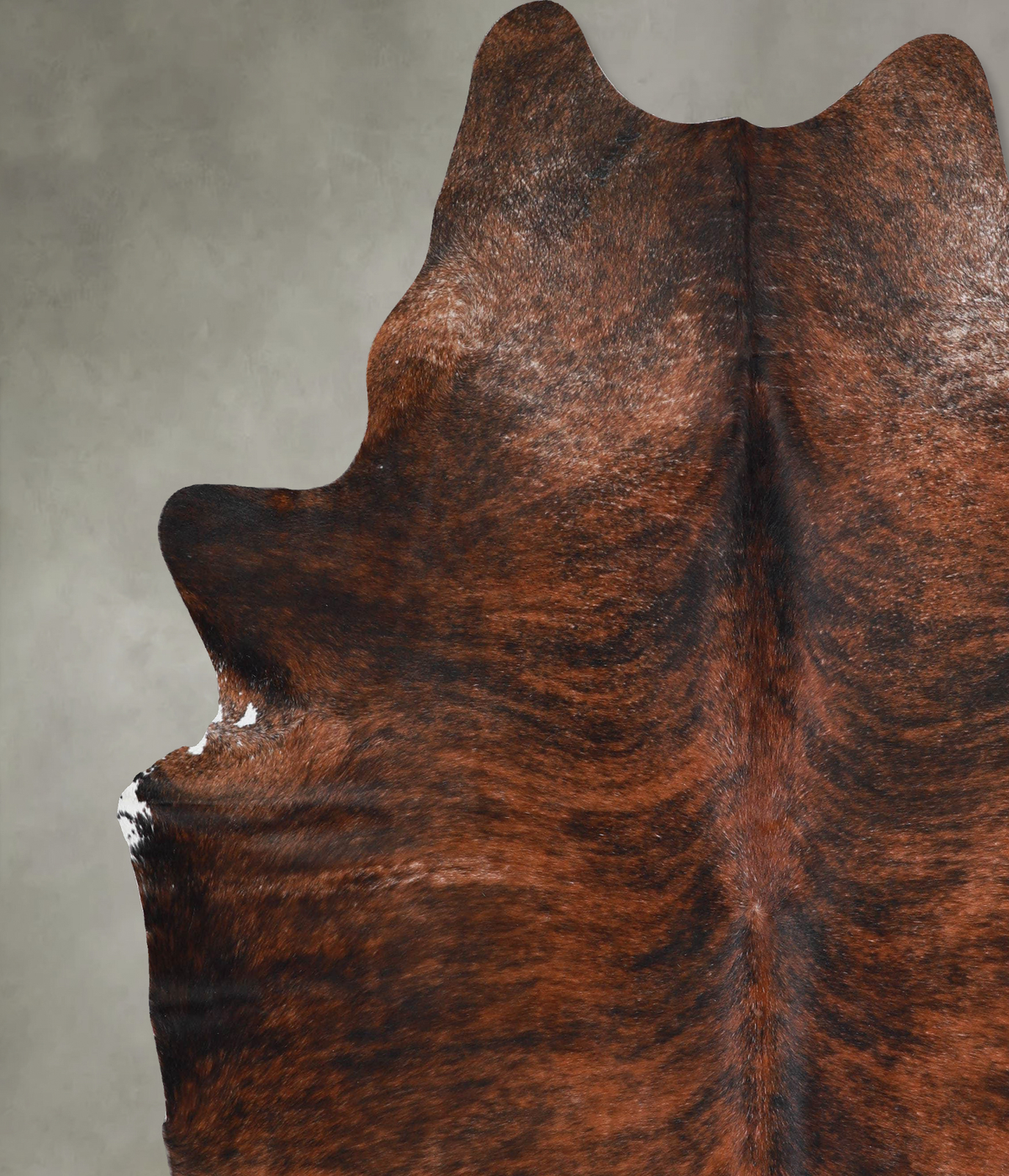 Dark Brindle XX-Large Brazilian Cowhide Rug 8'5"H x 7'0"W #A54139 by Hudson Hides