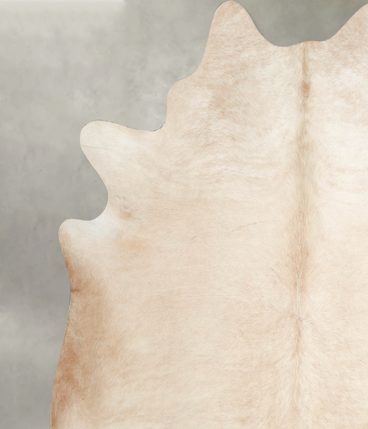 Palomino XX-Large Brazilian Cowhide Rug 7'6"H x 6'10"W #A54143 by Hudson Hides