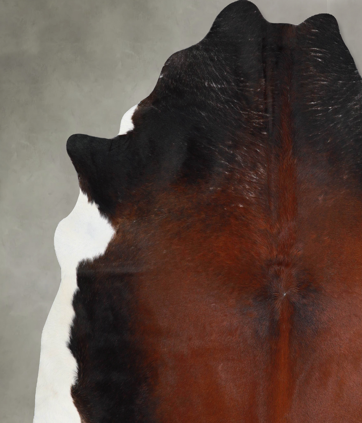Warm Caramel X-Large Brazilian Cowhide Rug 7'1"H x 6'10"W #A54145 by Hudson Hides