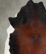 Warm Caramel X-Large Brazilian Cowhide Rug 7'1"H x 6'10"W #A54145 by Hudson Hides
