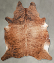 Medium Brindle X-Large Brazilian Cowhide Rug 7'3"H x 6'5"W #A54151 by Hudson Hides