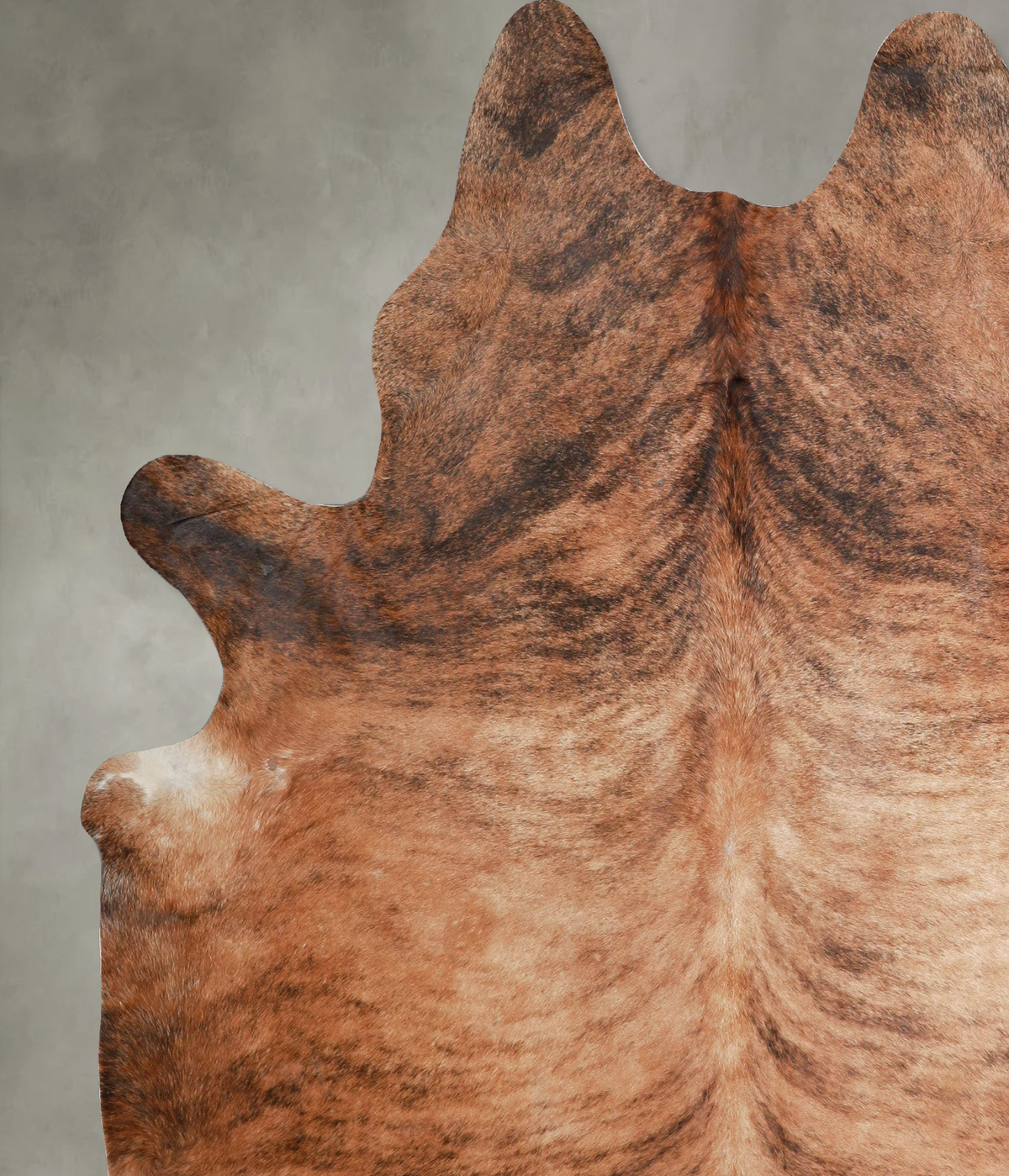 Medium Brindle X-Large Brazilian Cowhide Rug 7'3"H x 6'5"W #A54151 by Hudson Hides