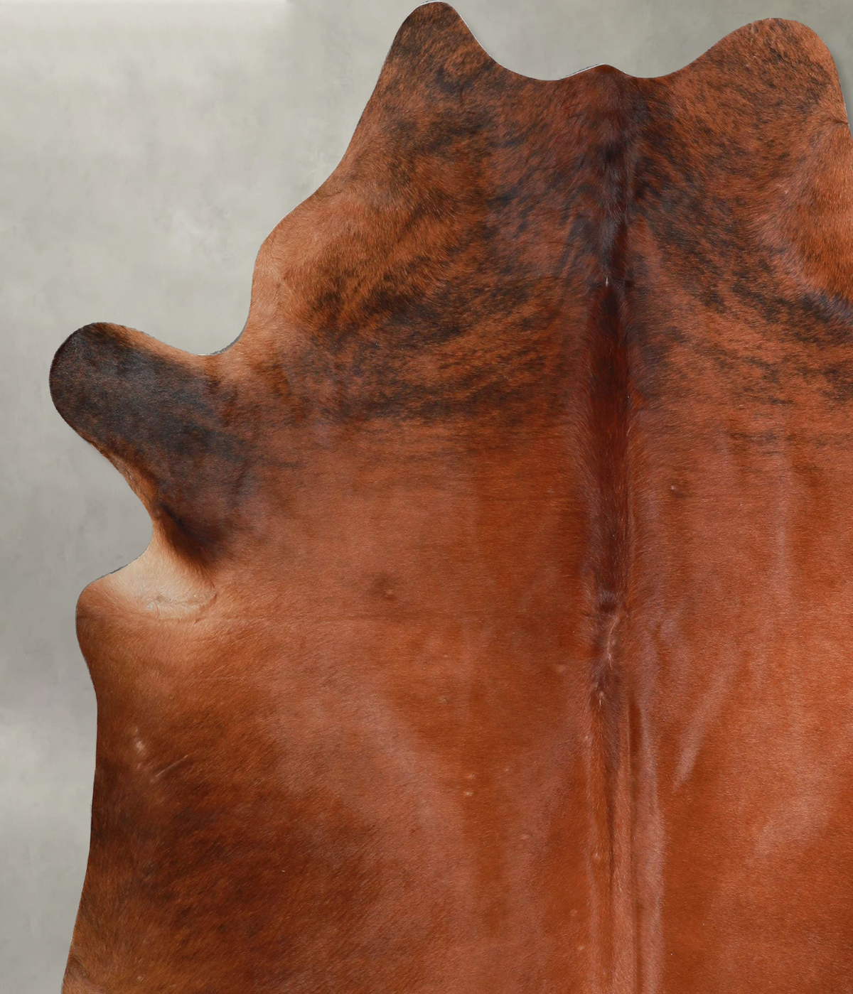 Medium Brindle X-Large Brazilian Cowhide Rug 7'0"H x 6'4"W #A54157 by Hudson Hides