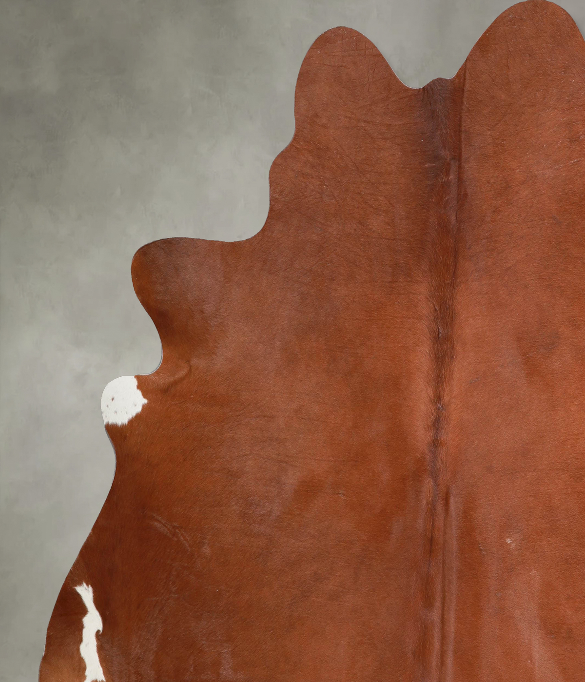 Solid Brown X-Large Brazilian Cowhide Rug 7'0"H x 6'7"W #A54161 by Hudson Hides