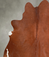 Solid Brown X-Large Brazilian Cowhide Rug 7'0"H x 6'7"W #A54161 by Hudson Hides
