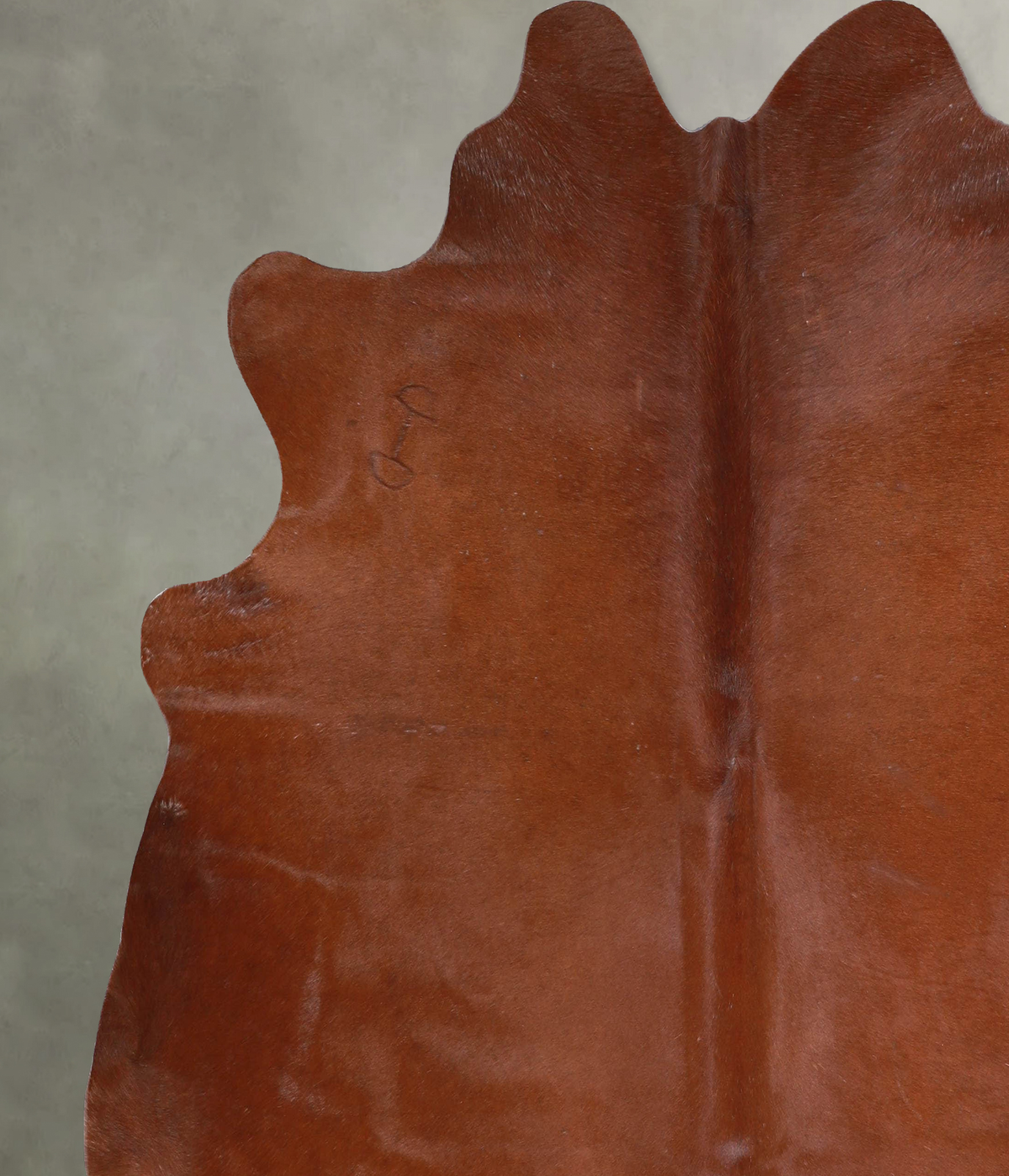 Solid Brown X-Large Brazilian Cowhide Rug 6'10"H x 6'9"W #A54163 by Hudson Hides