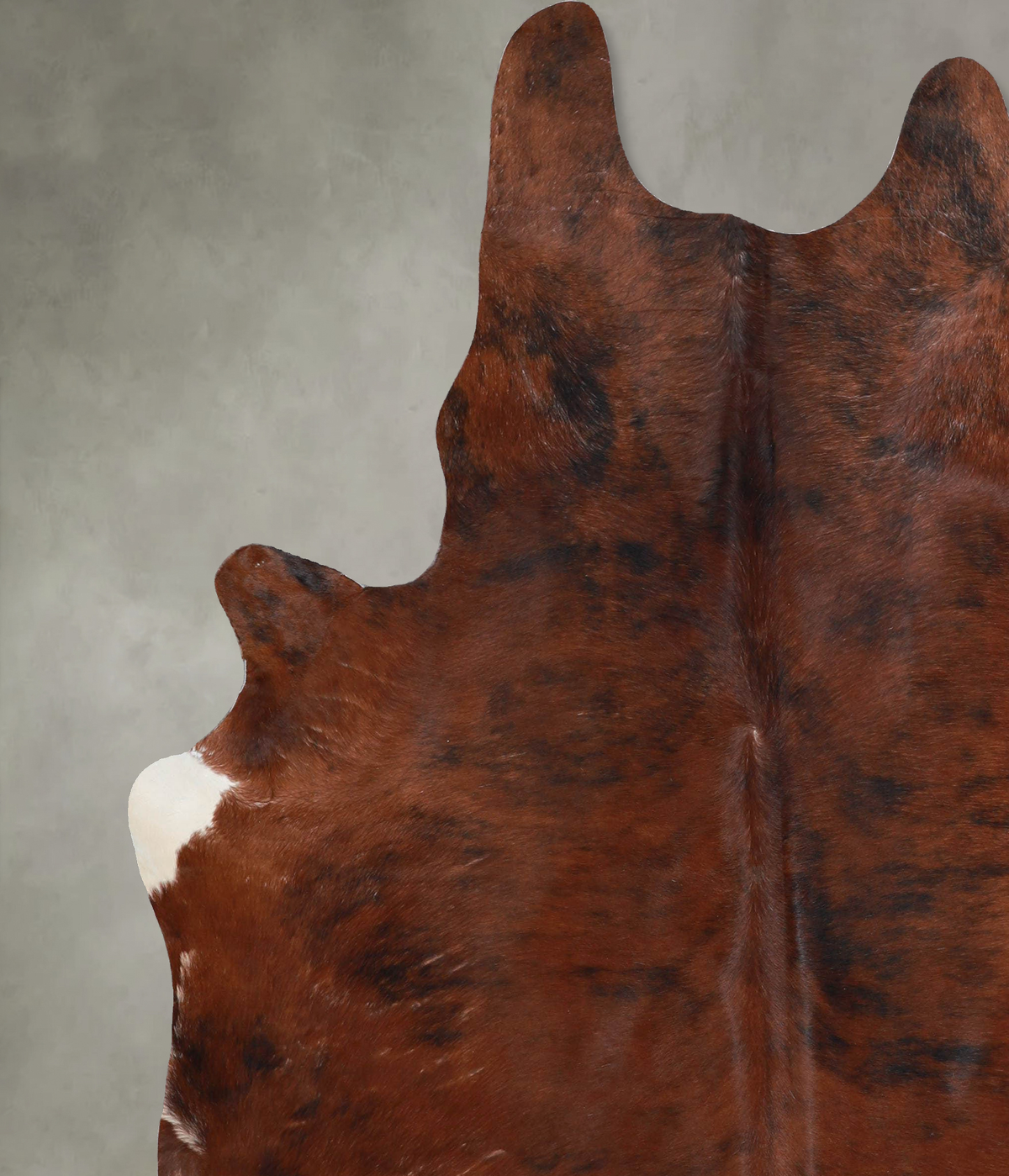 Medium Brindle X-Large Brazilian Cowhide Rug 7'7"H x 6'3"W #A54168 by Hudson Hides