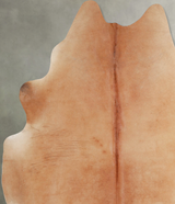 Solid Brown XX-Large Brazilian Cowhide Rug 8'1"H x 6'10"W #A54172 by Hudson Hides