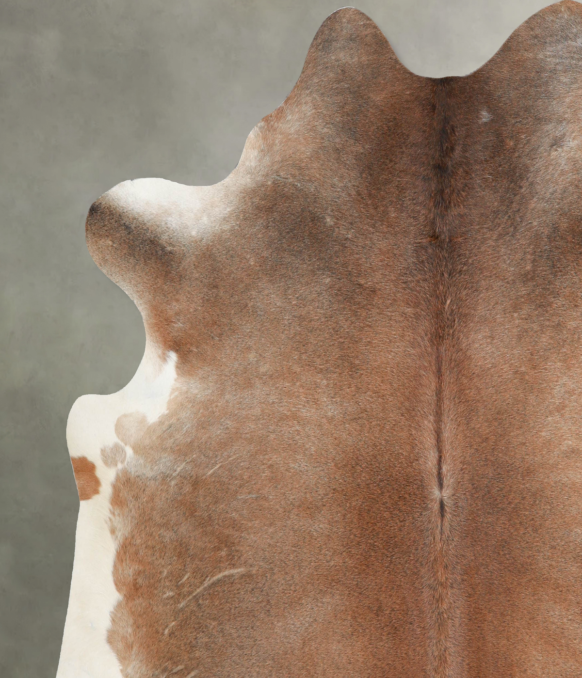 Warm Caramel X-Large Brazilian Cowhide Rug 6'11"H x 6'7"W #A54190 by Hudson Hides