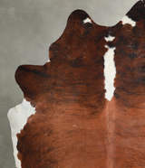 Medium Brindle XX-Large Brazilian Cowhide Rug 8'4"H x 7'3"W #A54193 by Hudson Hides