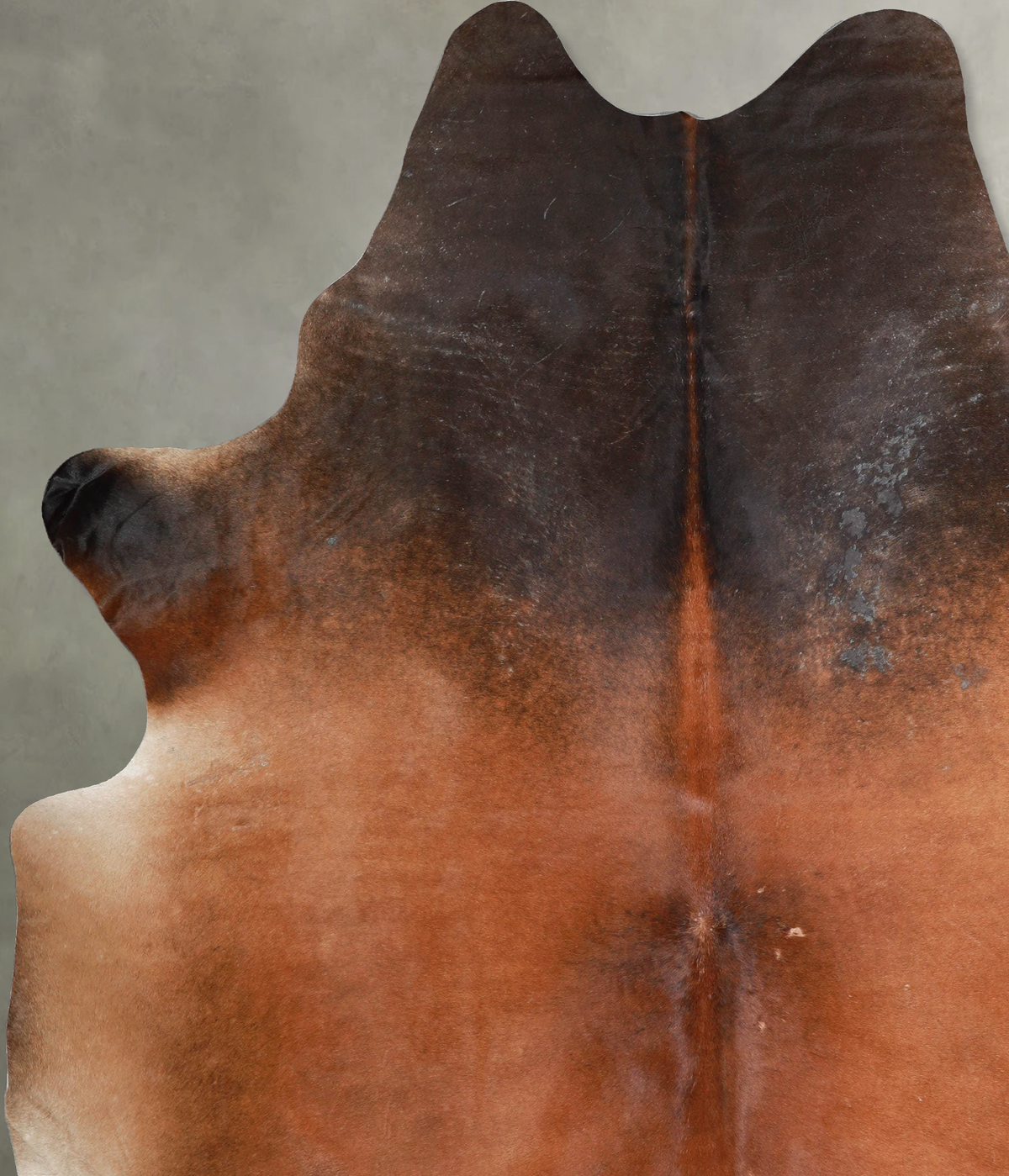 Warm Caramel XX-Large Brazilian Cowhide Rug 8'4"H x 6'11"W #A54194 by Hudson Hides
