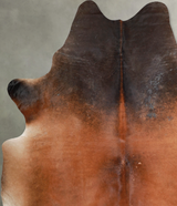 Warm Caramel XX-Large Brazilian Cowhide Rug 8'4"H x 6'11"W #A54194 by Hudson Hides