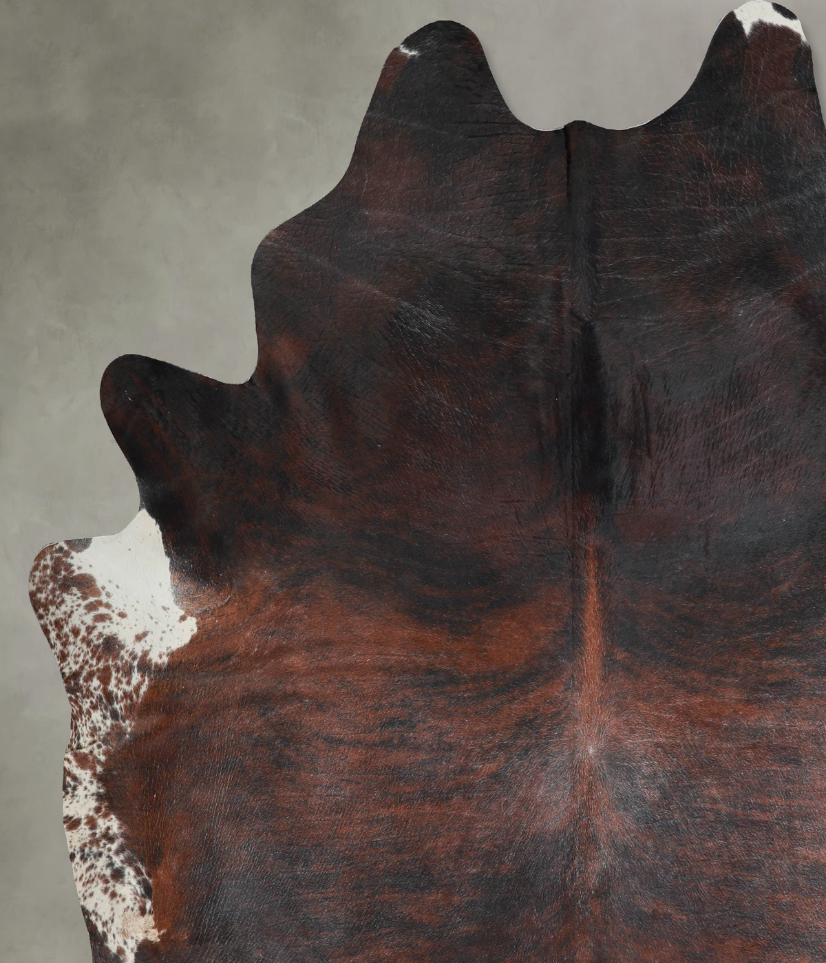 Dark Brindle XX-Large Brazilian Cowhide Rug 8'7"H x 7'5"W #A54195 by Hudson Hides