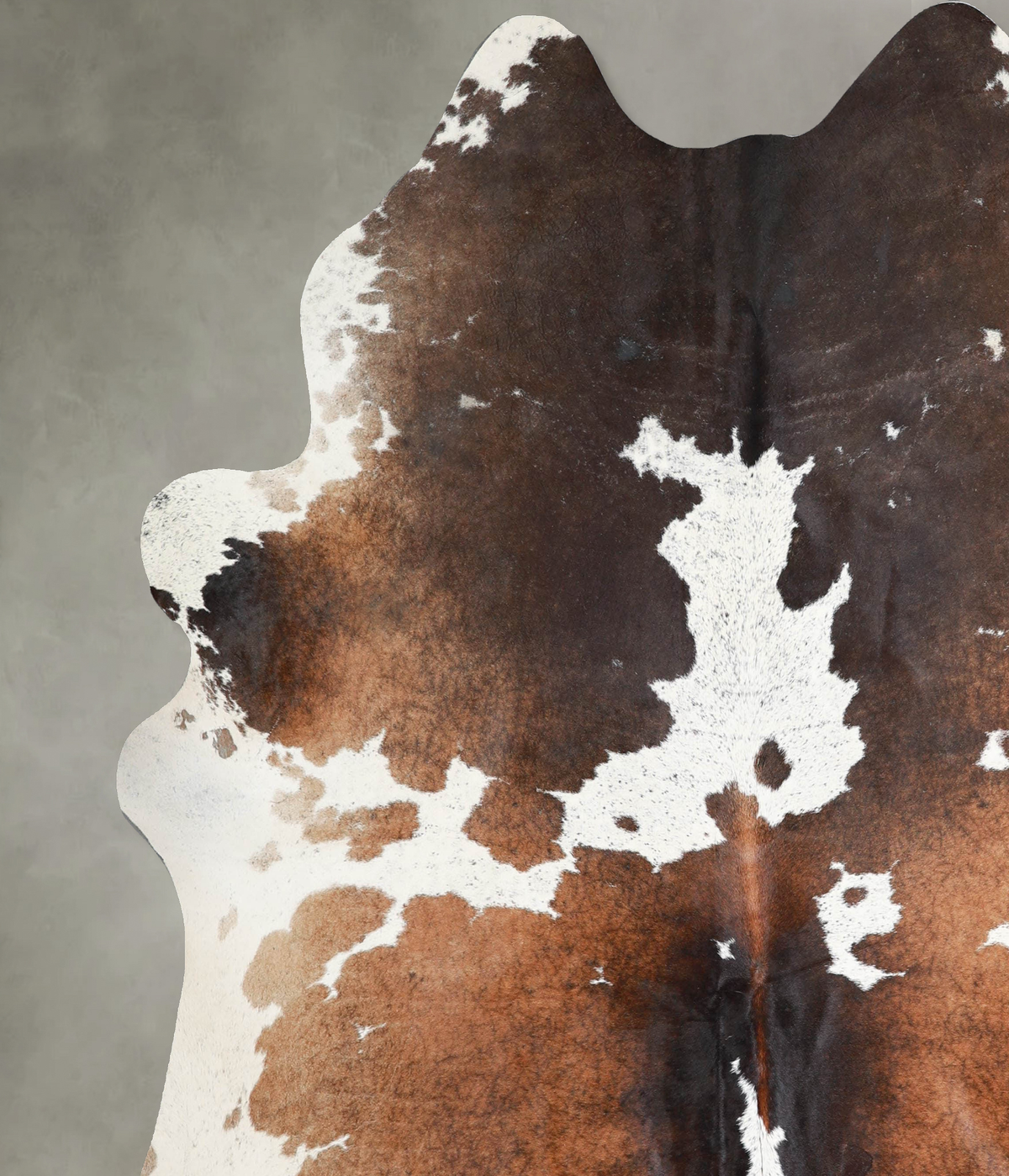 Chocolate and White XX-Large Brazilian Cowhide Rug 7'5"H x 7'1"W #A54200 by Hudson Hides
