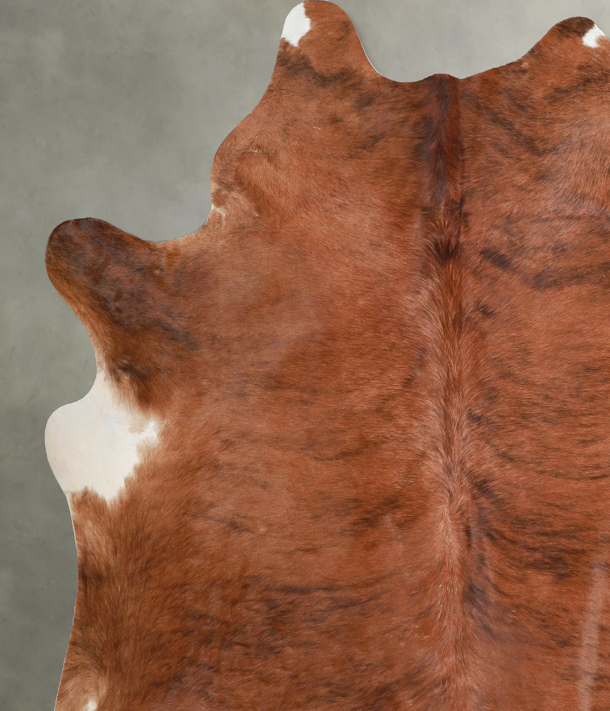 Medium Brindle X-Large Brazilian Cowhide Rug 6'10"H x 6'1"W #A54203 by Hudson Hides
