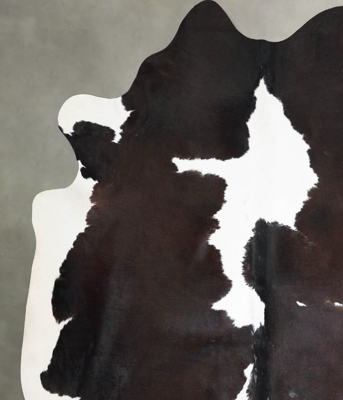 Chocolate and White XX-Large Brazilian Cowhide Rug 7'10"H x 6'7"W #A54209 by Hudson Hides