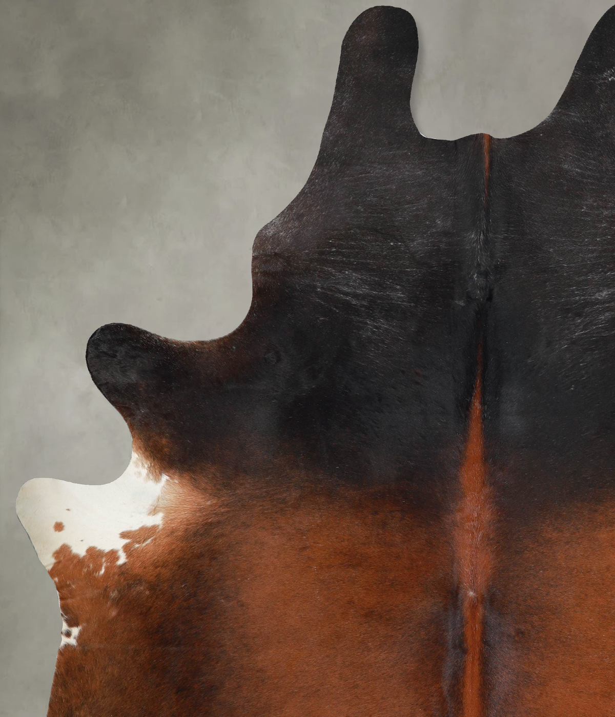 Warm Caramel XX-Large Brazilian Cowhide Rug 8'1"H x 6'3"W #A54211 by Hudson Hides