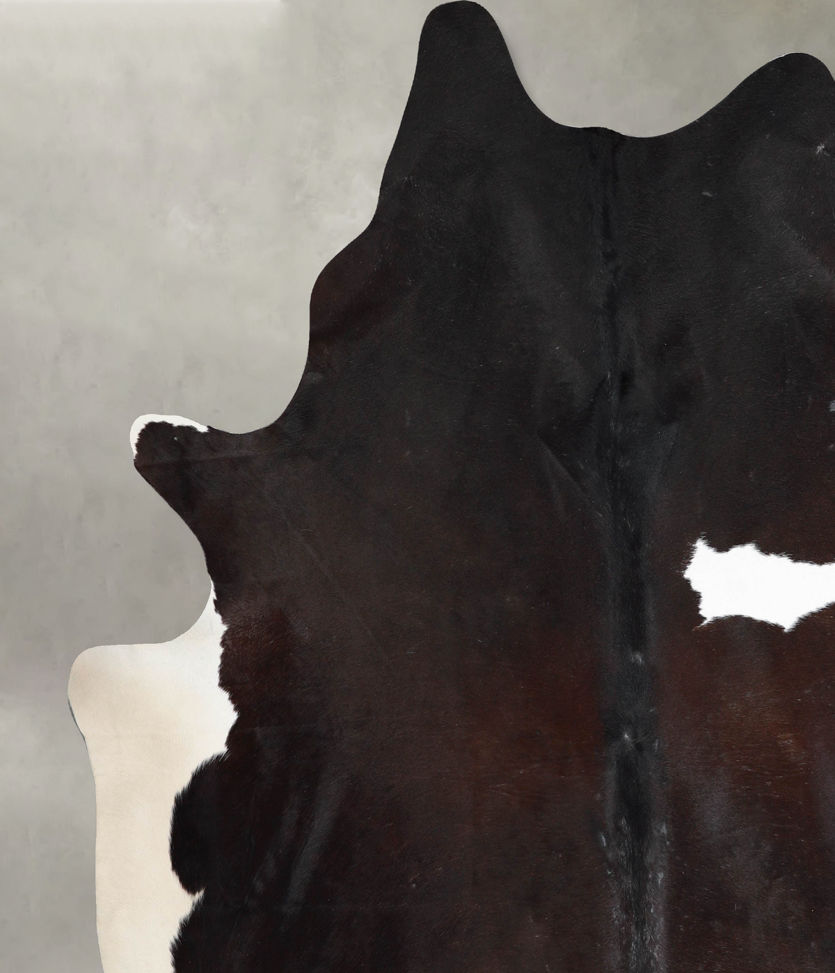 Chocolate and White XX-Large Brazilian Cowhide Rug 8'6"H x 7'7"W #A54216 by Hudson Hides