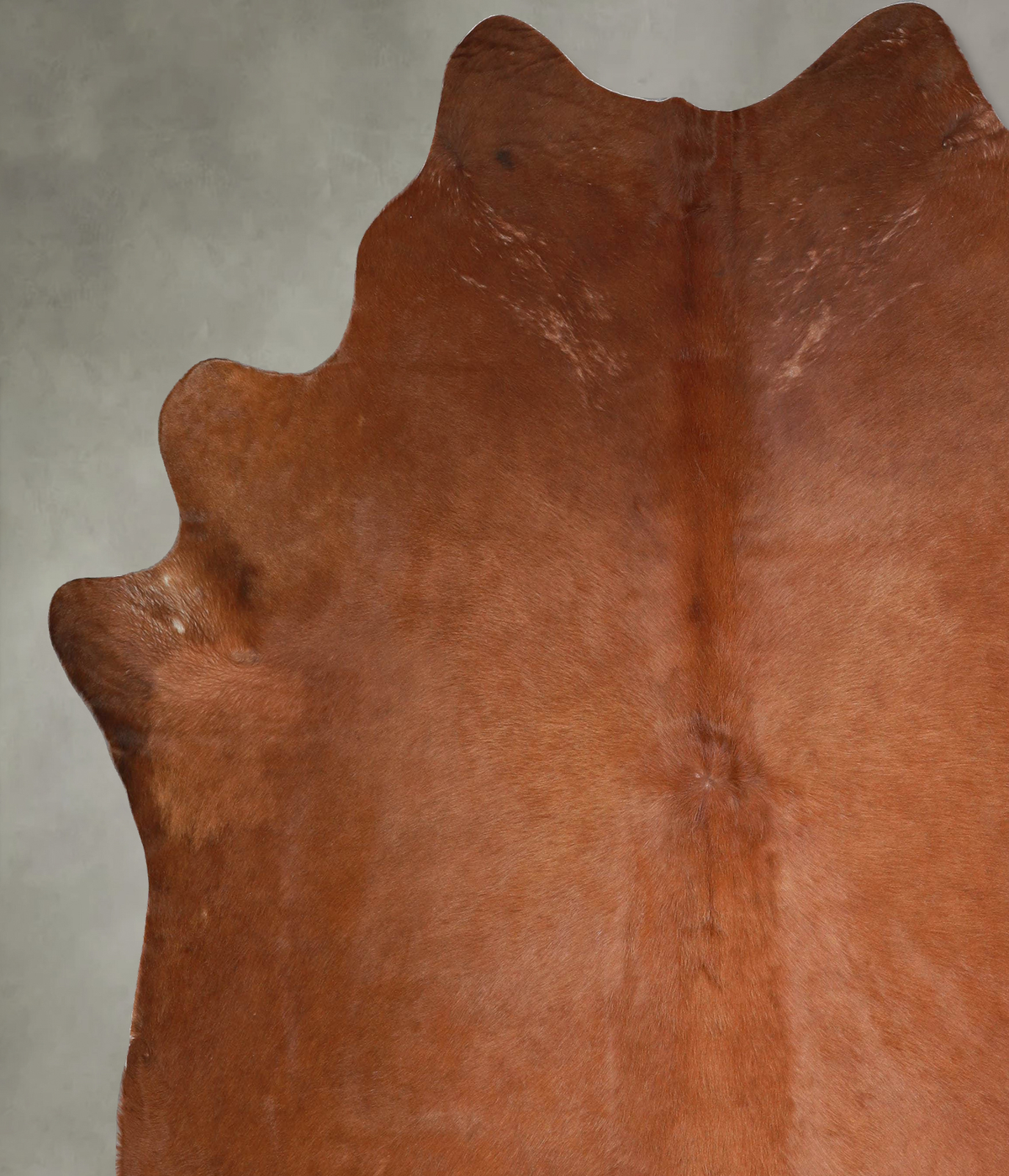 Solid Brown XX-Large Brazilian Cowhide Rug 7'10"H x 7'2"W #A54219 by Hudson Hides