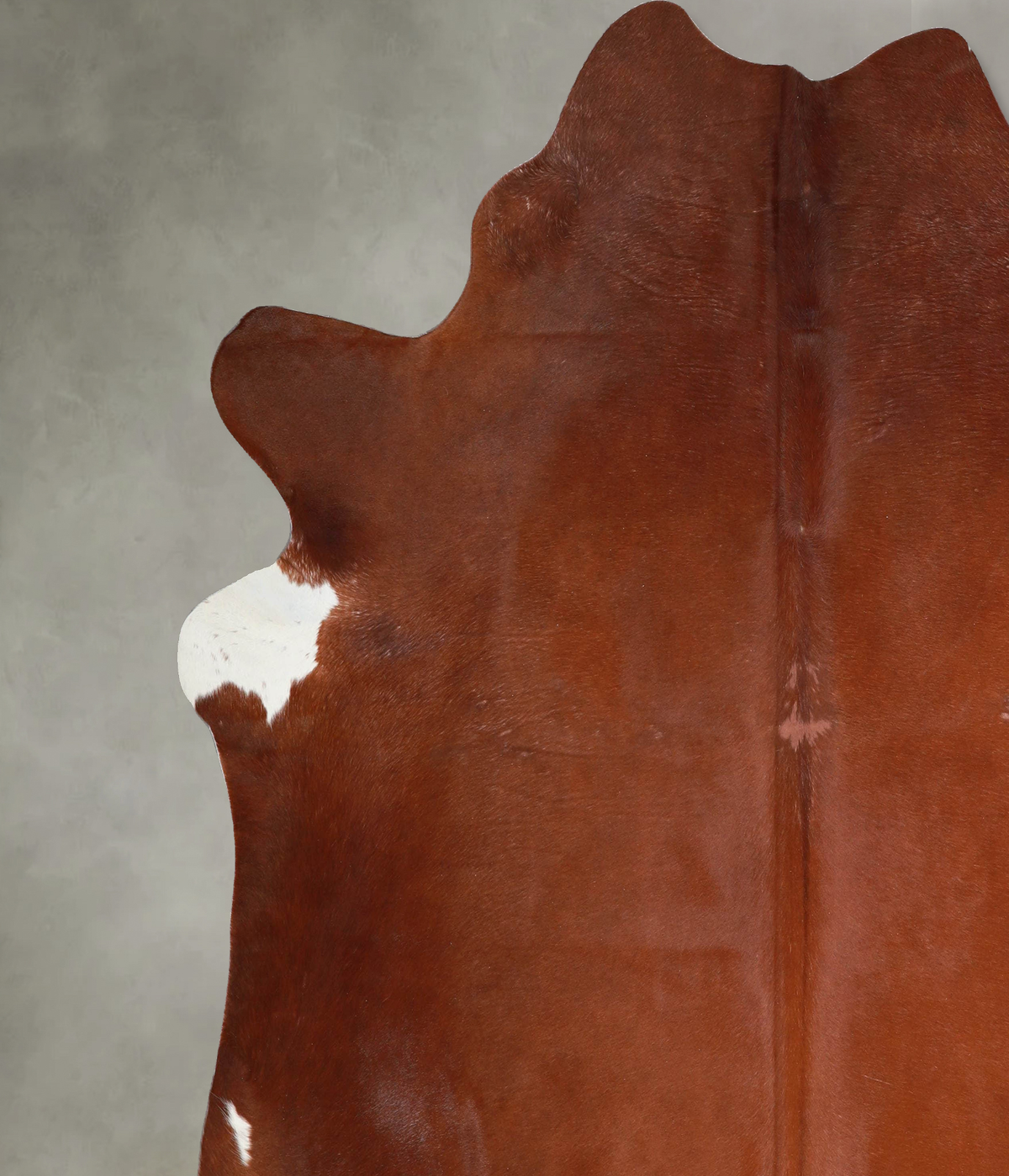 Solid Brown XX-Large Brazilian Cowhide Rug 7'10"H x 7'9"W #A54223 by Hudson Hides