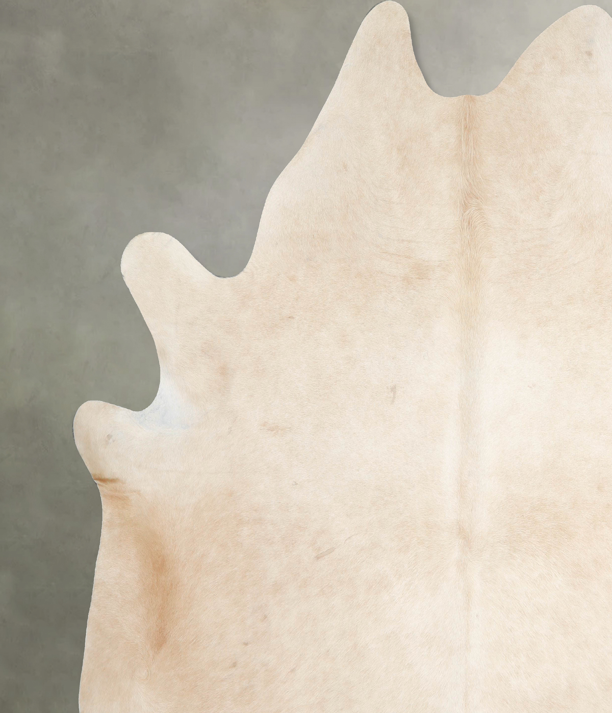 Palomino XX-Large Brazilian Cowhide Rug 8'4"H x 7'7"W #A54225 by Hudson Hides