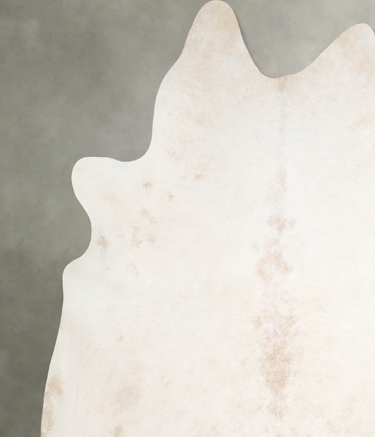 Ivory with Beige XX-Large Brazilian Cowhide Rug 7'11"H x 7'6"W #A54229 by Hudson Hides