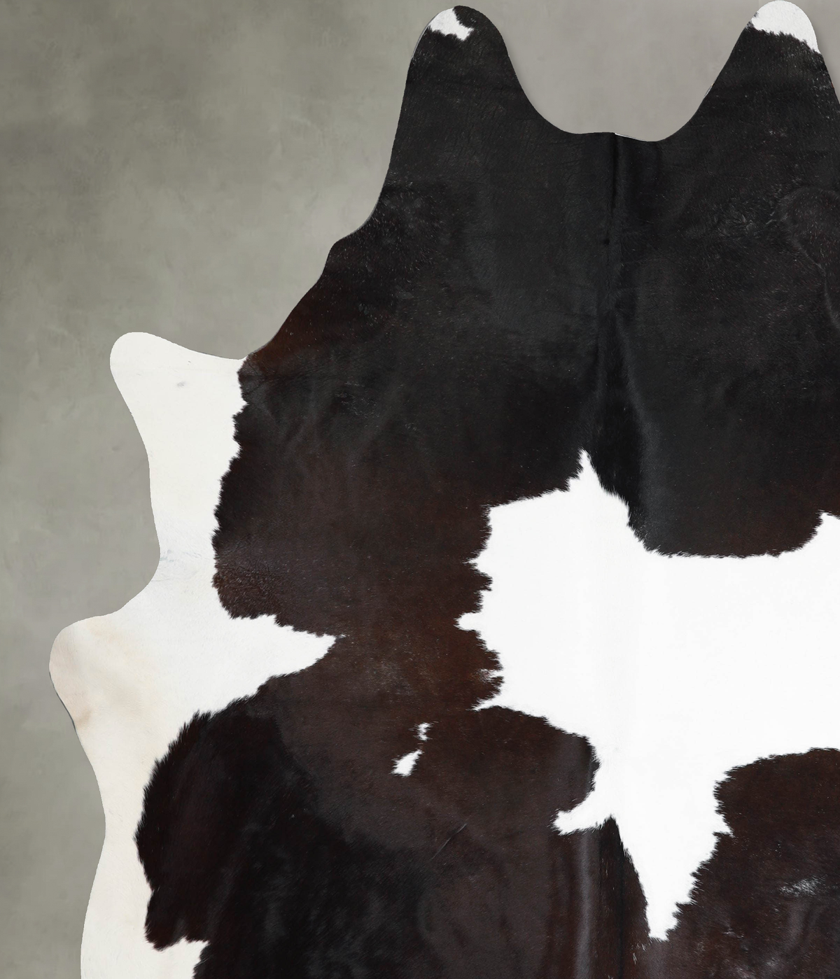 Chocolate and White XX-Large Brazilian Cowhide Rug 9'0"H x 7'6"W #A54230 by Hudson Hides