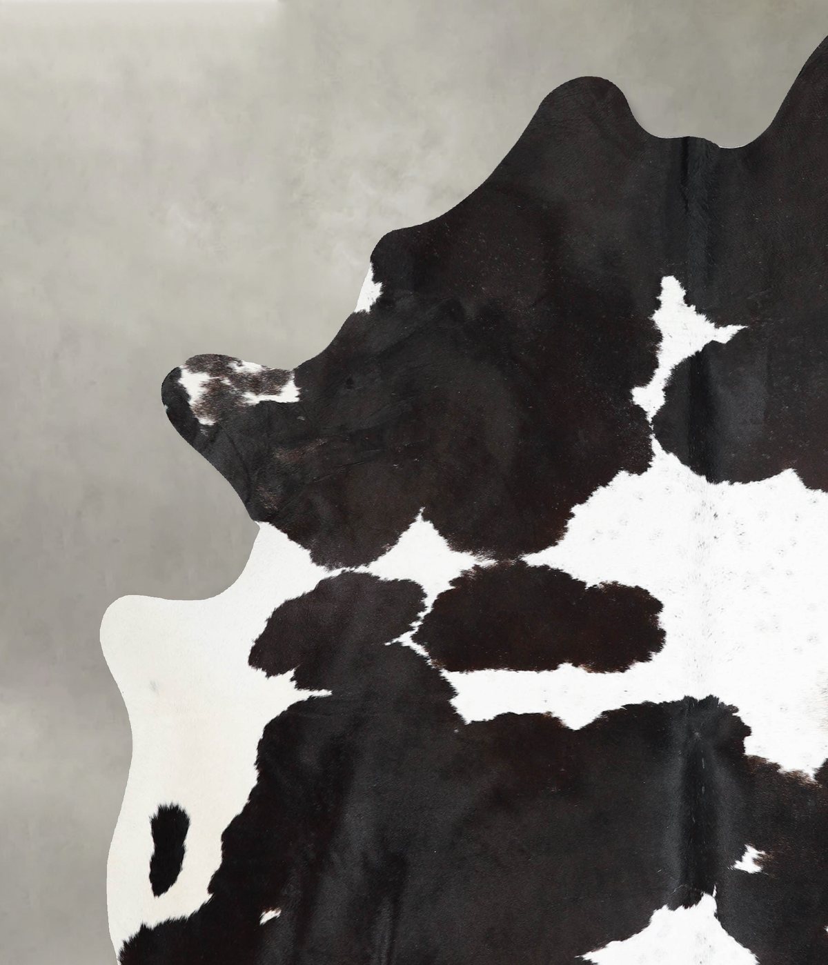 Black and White X-Large Brazilian Cowhide Rug 7'8"H x 6'2"W #A54233 by Hudson Hides