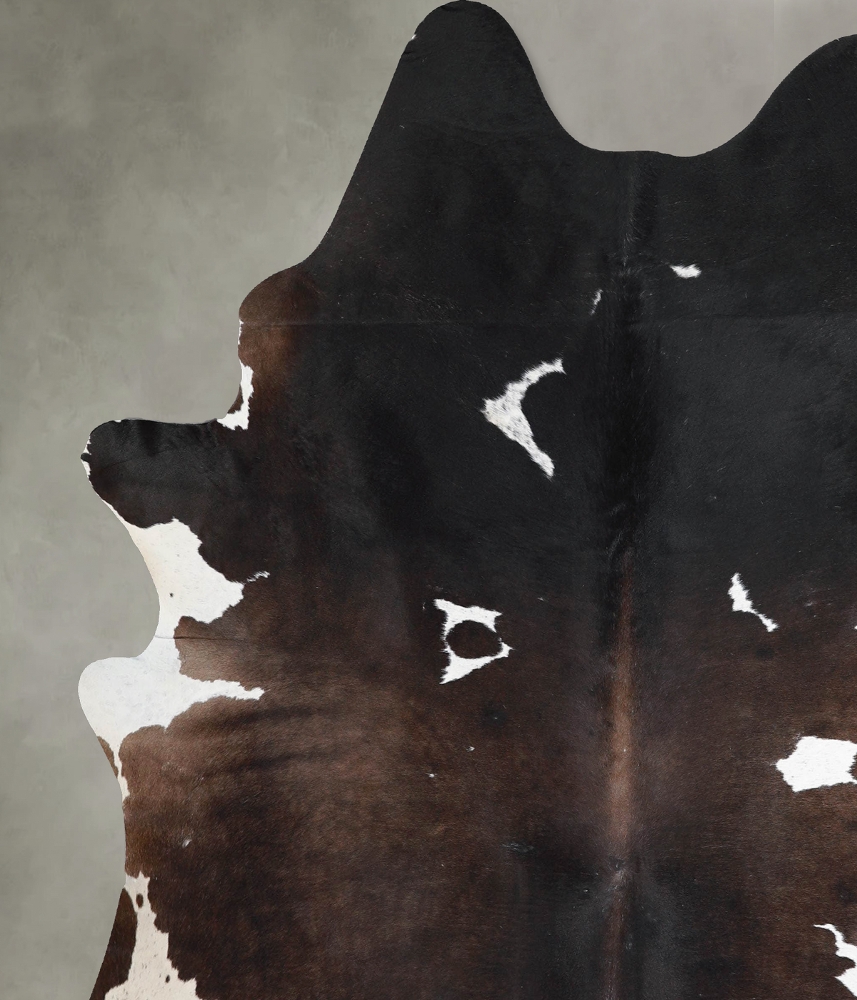Chocolate and White X-Large Brazilian Cowhide Rug 7'7"H x 6'4"W #A54238 by Hudson Hides