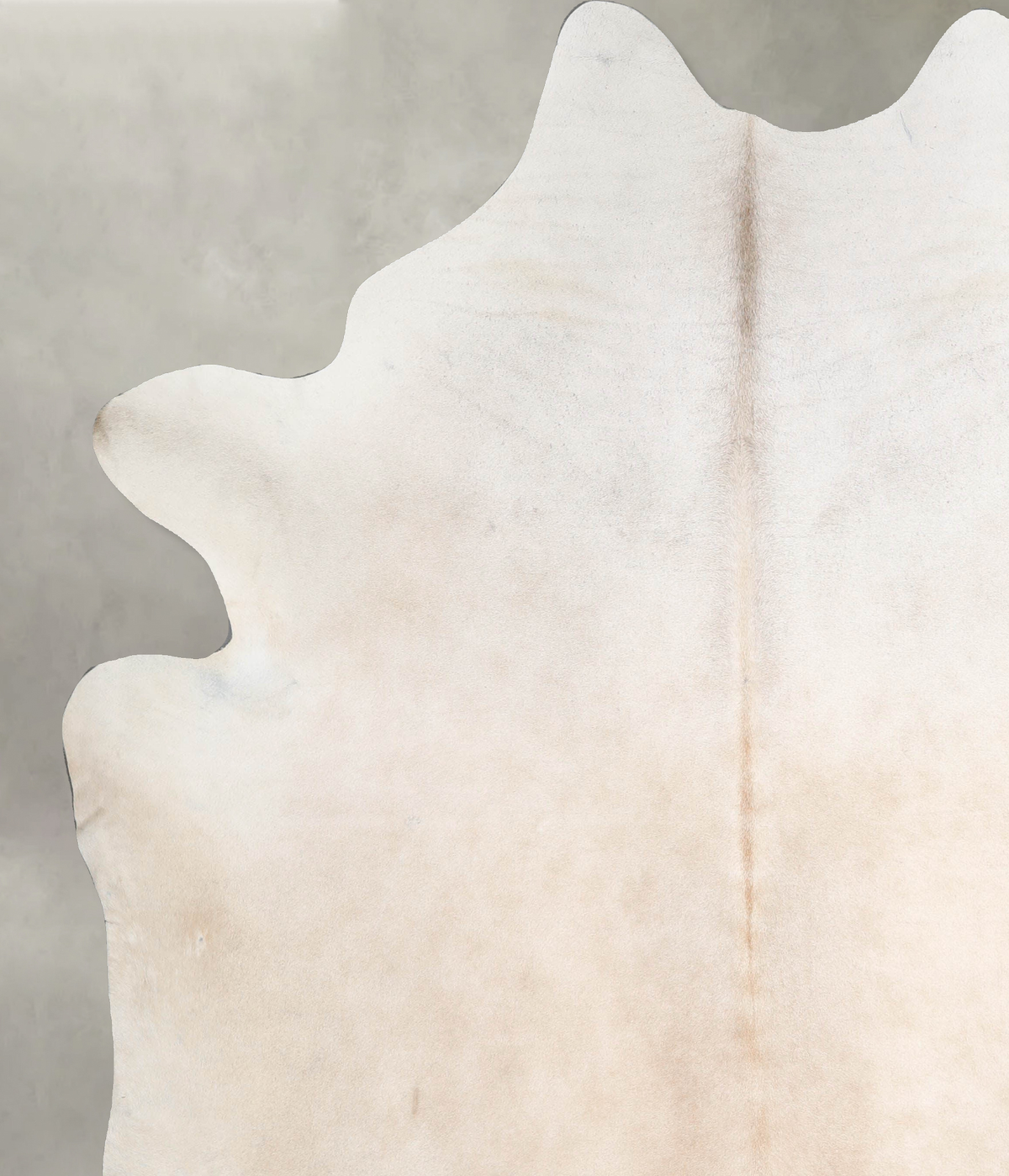 Ivory with Beige XX-Large Brazilian Cowhide Rug 8'3"H x 7'2"W #A54240 by Hudson Hides
