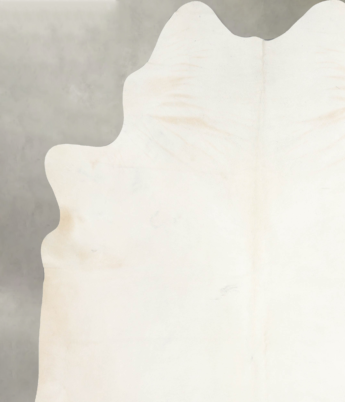Ivory with Beige XX-Large Brazilian Cowhide Rug 7'8"H x 6'8"W #A54246 by Hudson Hides