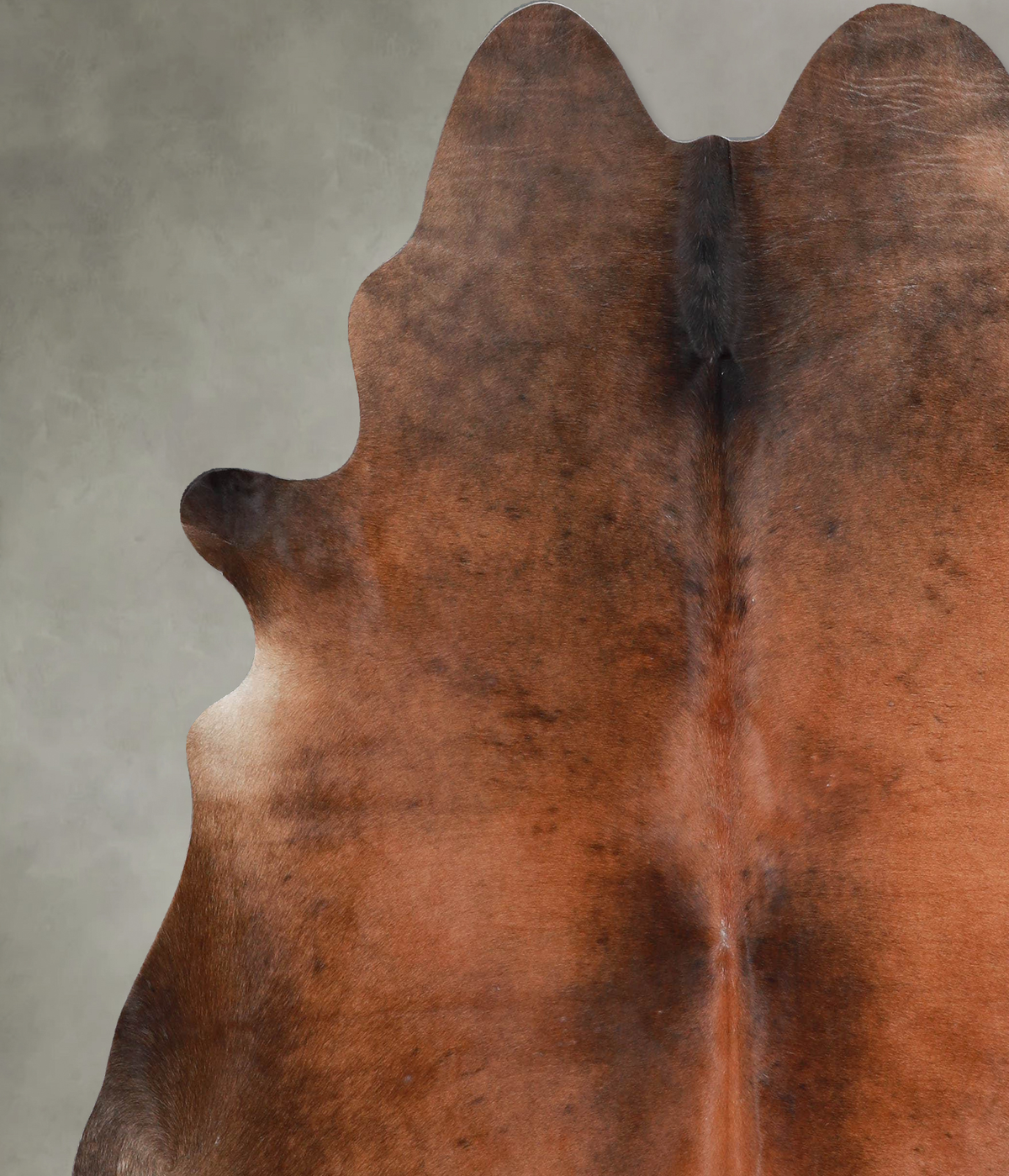 Warm Caramel X-Large Brazilian Cowhide Rug 6'10"H x 6'5"W #A54247 by Hudson Hides