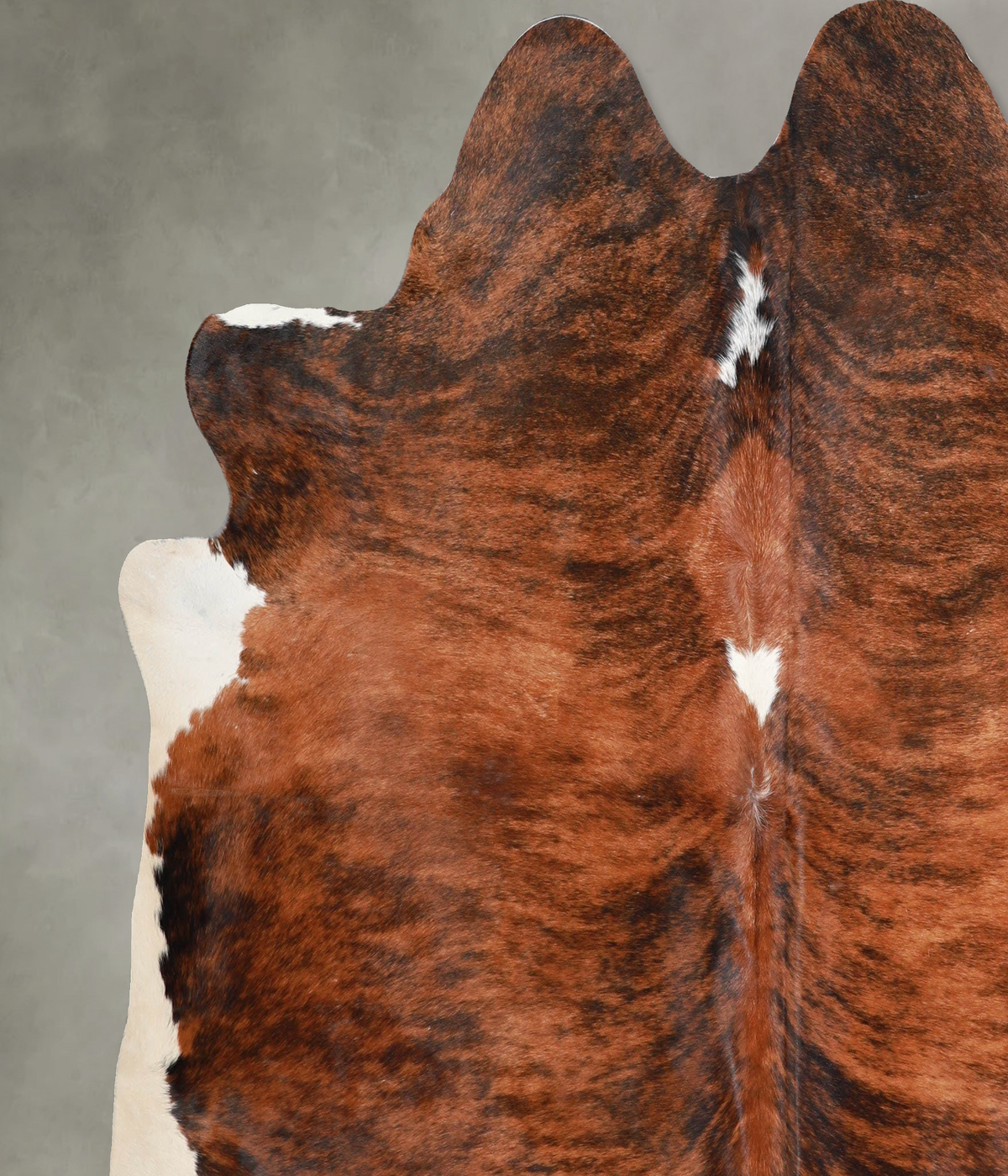 Medium Brindle X-Large Brazilian Cowhide Rug 6'9"H x 6'11"W #A54248 by Hudson Hides