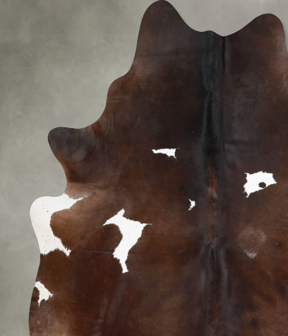 Chocolate and White X-Large Brazilian Cowhide Rug 7'5"H x 6'8"W #A54249 by Hudson Hides