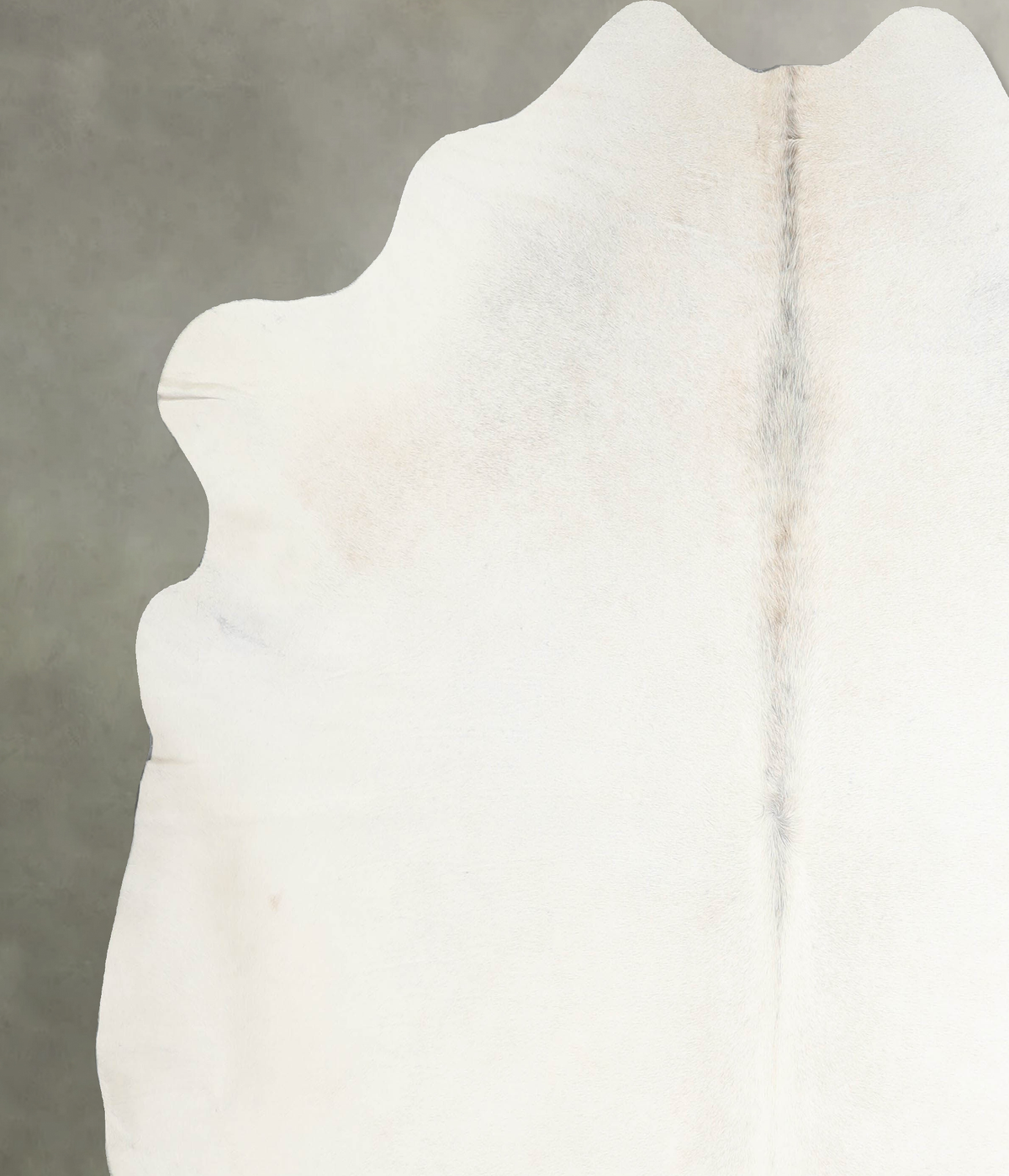Light Grey XX-Large Brazilian Cowhide Rug 7'3"H x 7'5"W #A54252 by Hudson Hides