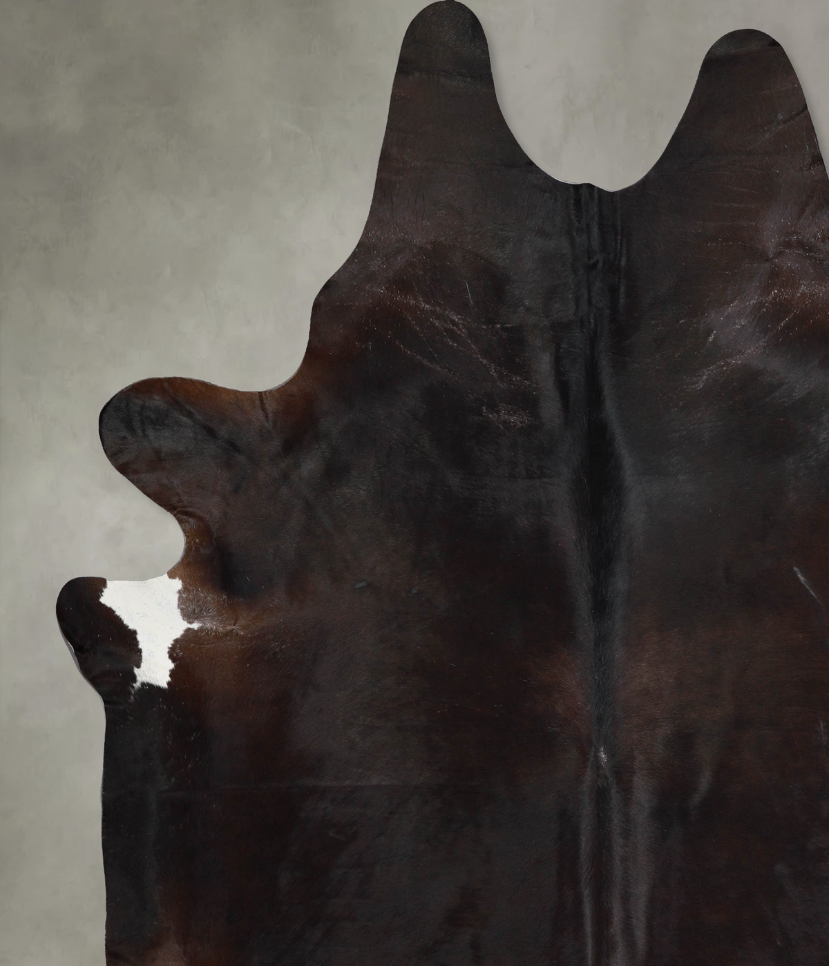 Chocolate XX-Large Brazilian Cowhide Rug 8'7"H x 7'10"W #A54255 by Hudson Hides