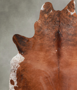 Medium Brindle XX-Large Brazilian Cowhide Rug 7'7"H x 6'11"W #A54256 by Hudson Hides