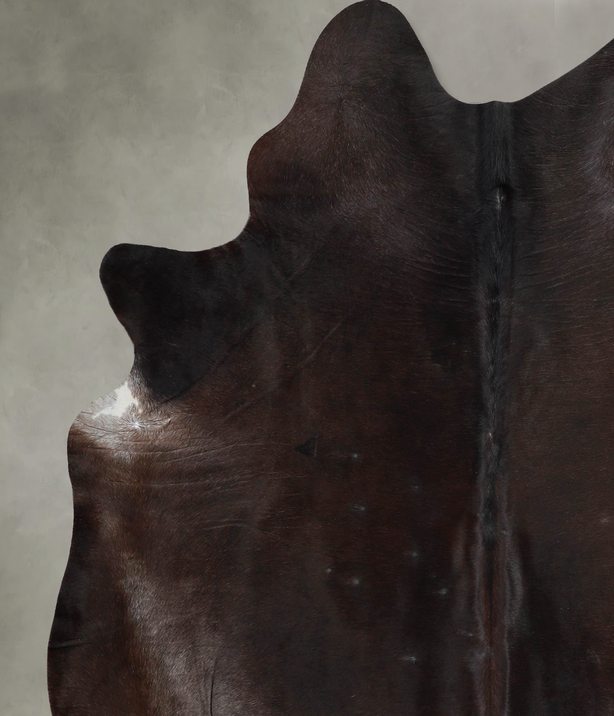 Chocolate X-Large Brazilian Cowhide Rug 6'11"H x 5'11"W #A54259 by Hudson Hides