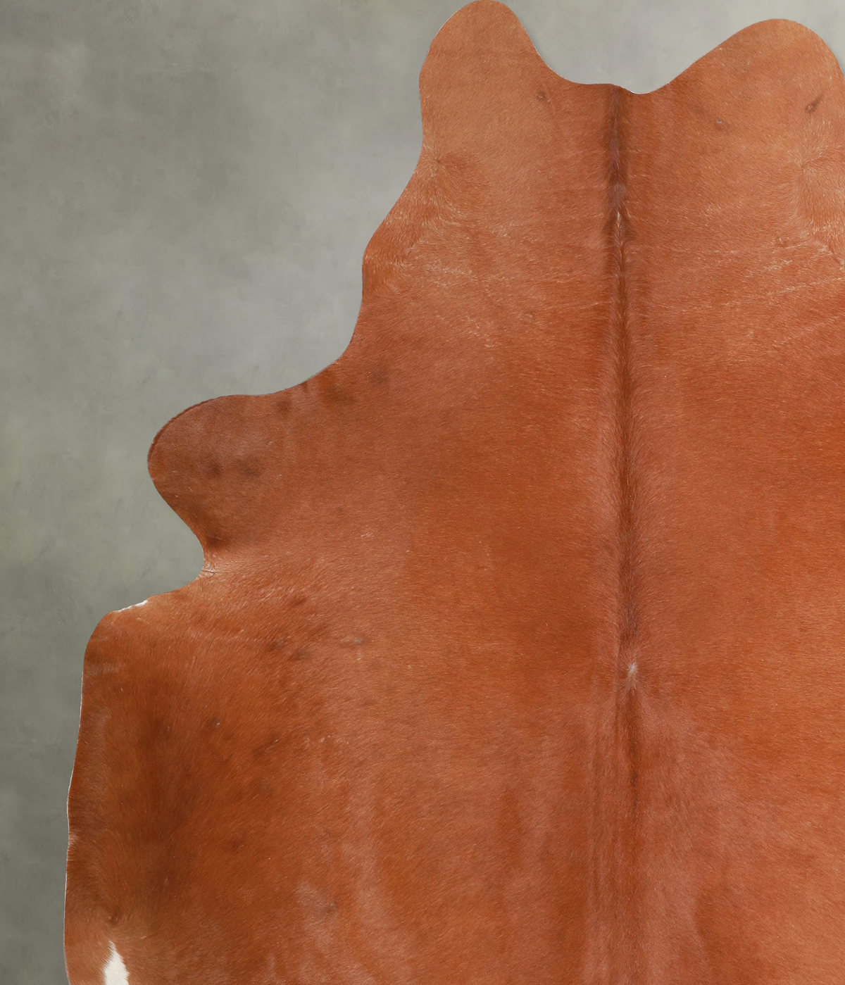Solid Brown XX-Large Brazilian Cowhide Rug 7'9"H x 6'10"W #A54260 by Hudson Hides