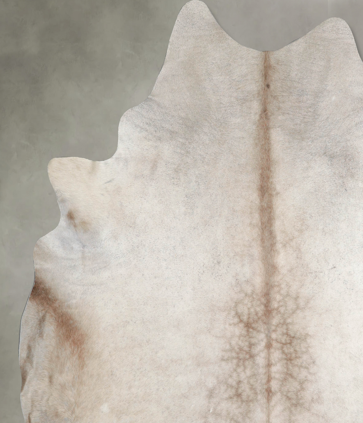 Champagne XX-Large Brazilian Cowhide Rug 8'3"H x 7'4"W #A54265 by Hudson Hides