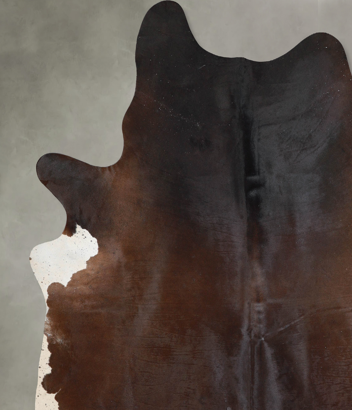 Chocolate and White XX-Large Brazilian Cowhide Rug 8'5"H x 7'0"W #A54275 by Hudson Hides