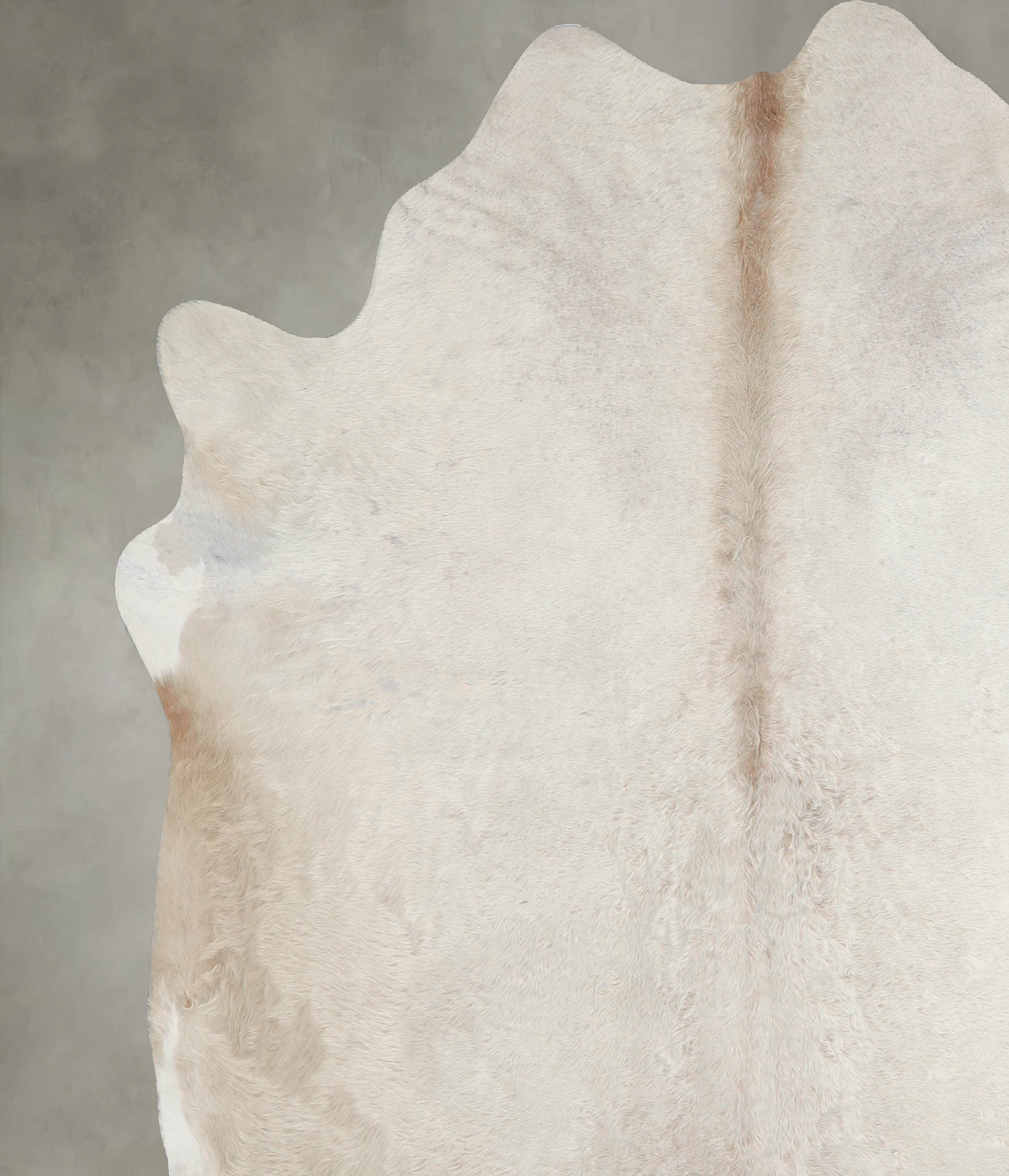 Champagne XX-Large Brazilian Cowhide Rug 7'7"H x 7'2"W #A54277 by Hudson Hides