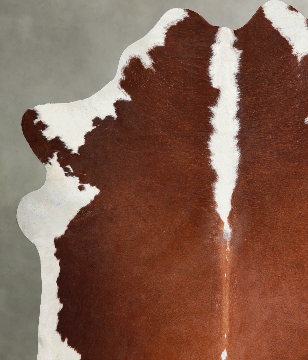 Hereford X-Large Brazilian Cowhide Rug 7'0"H x 7'0"W #A54278 by Hudson Hides