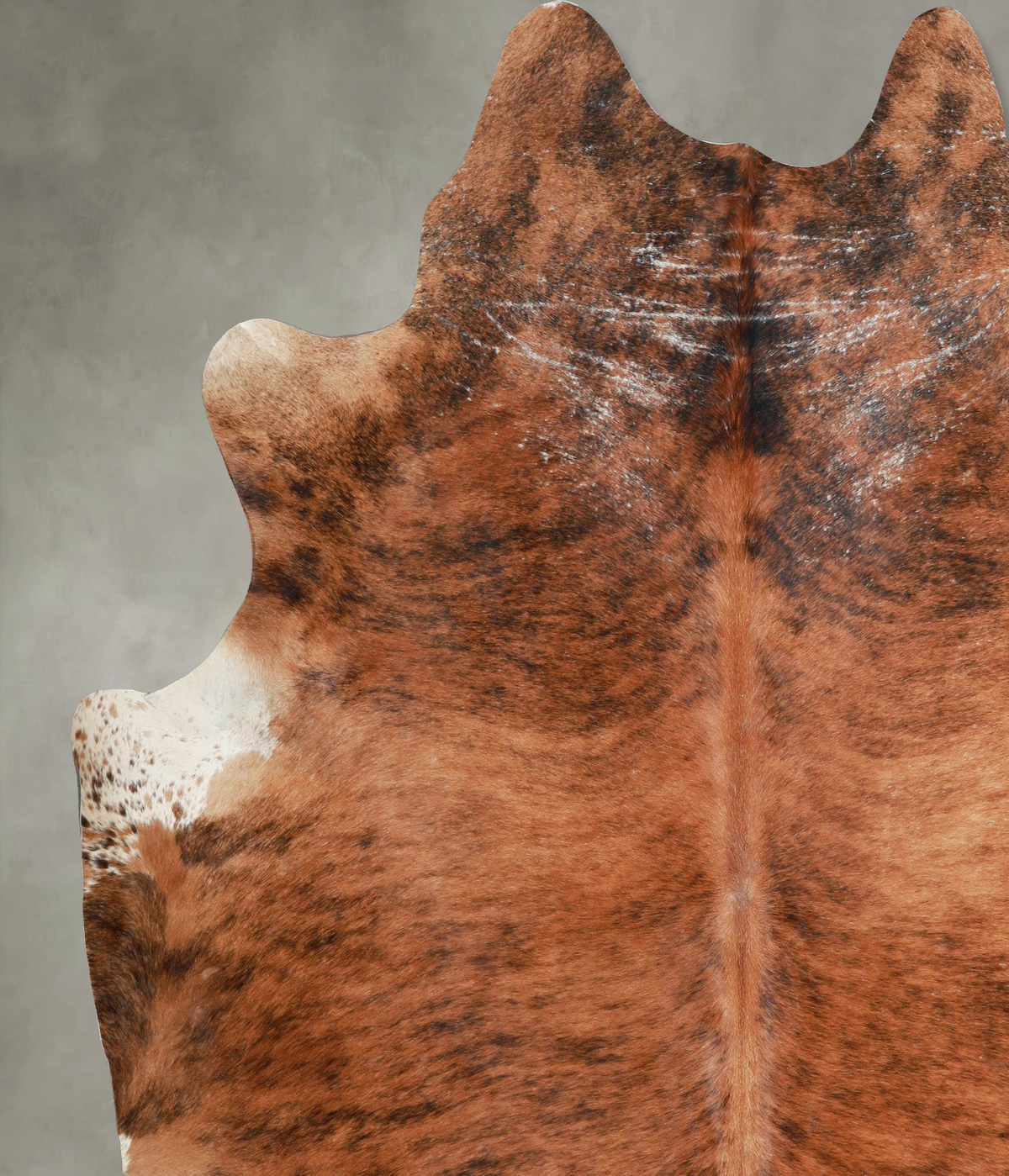 Medium Brindle XX-Large Brazilian Cowhide Rug 8'0"H x 7'3"W #A54288 by Hudson Hides