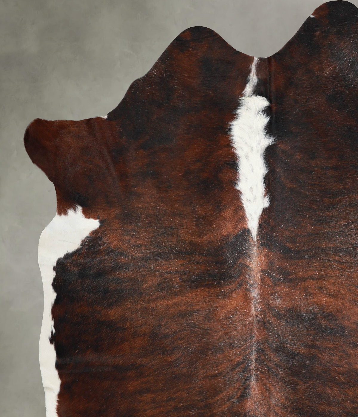 Tricolor XX-Large Brazilian Cowhide Rug 7'9"H x 7'0"W #A54291 by Hudson Hides